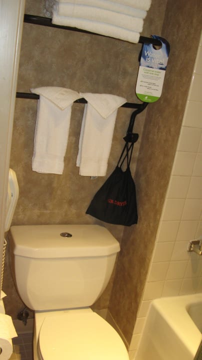 Toilette Hotel Tenaya Lodge at Yosemite