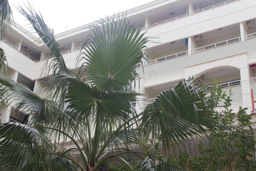 Fertiger Anstrich Seher Kumköy Star Resort & Spa