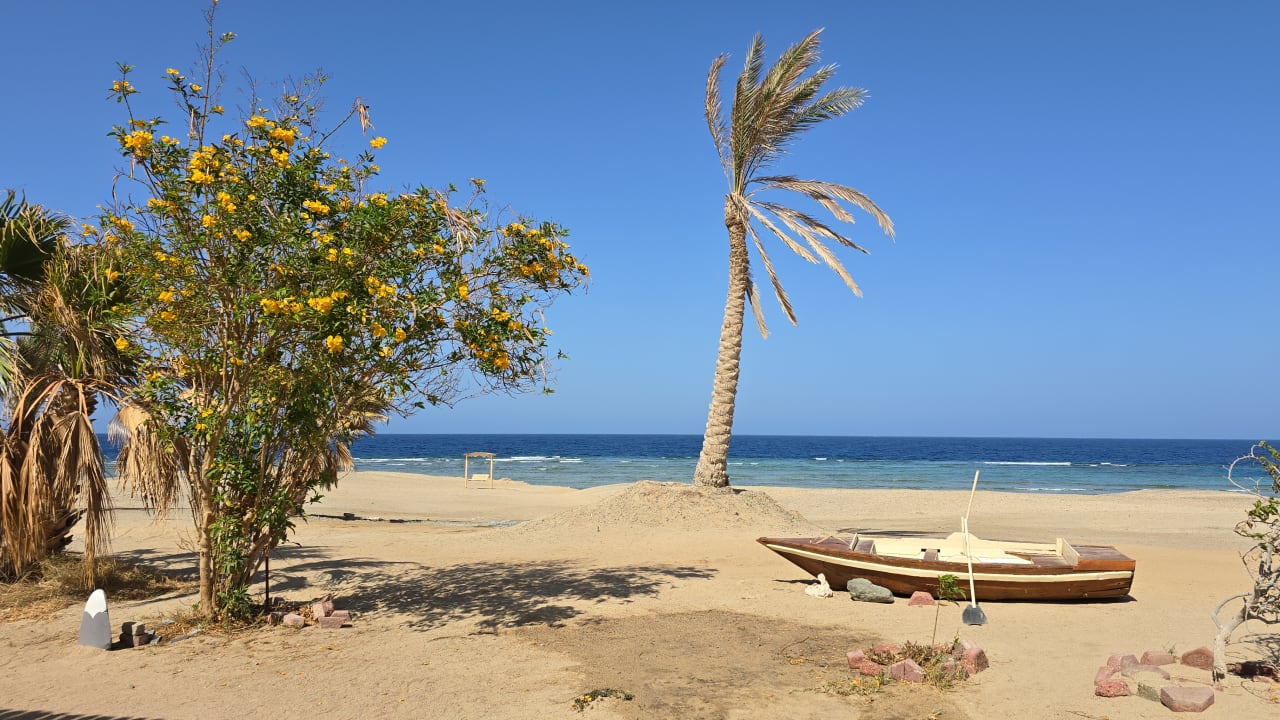 Strand Malikia Resort Abu Dabbab