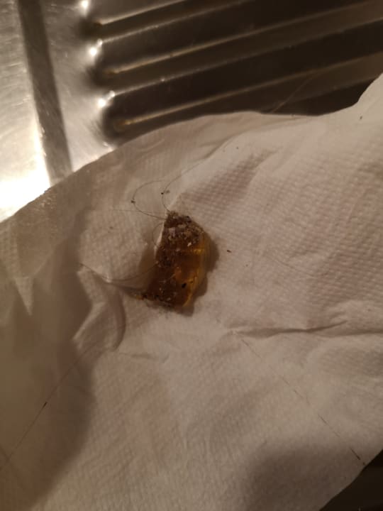 Zimmer Wildgatter Ferienappartements