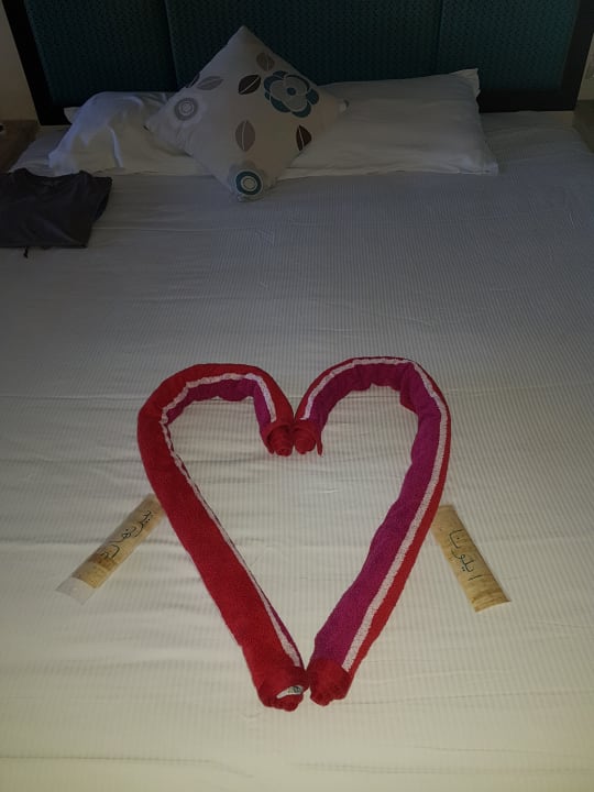 Zimmer Pickalbatros Citadel Resort