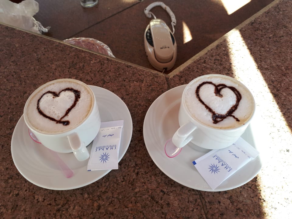 Gastro Shams Prestige Abu Soma-Adults Only