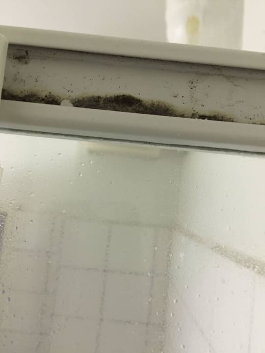 Schimmelpilz St.Joseph Hotel Hamburg St.Pauli Kiez Reeperbahn