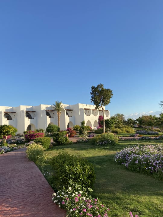 Gartenanlage Three Corners Equinox Beach Resort