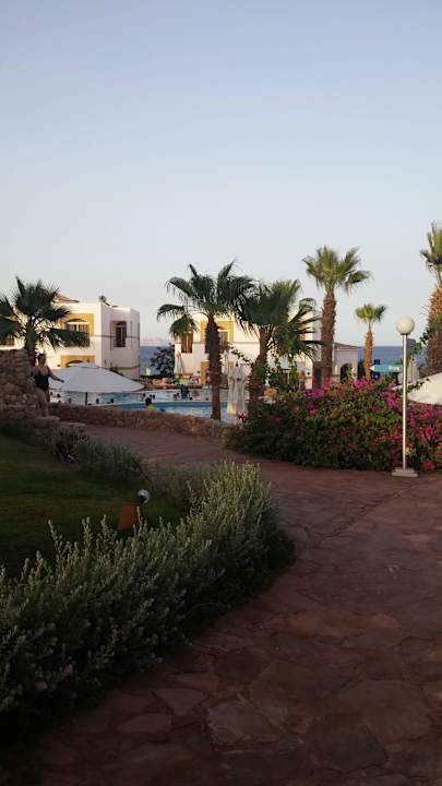 W drodze na basen Amphoras Blu