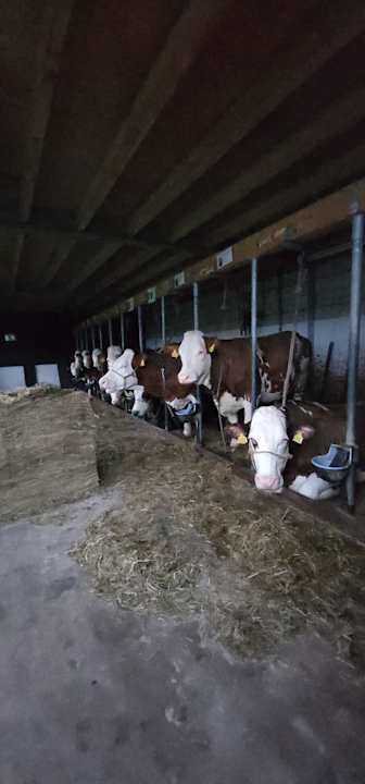 Sport & Freizeit Boerderij Hazenveld