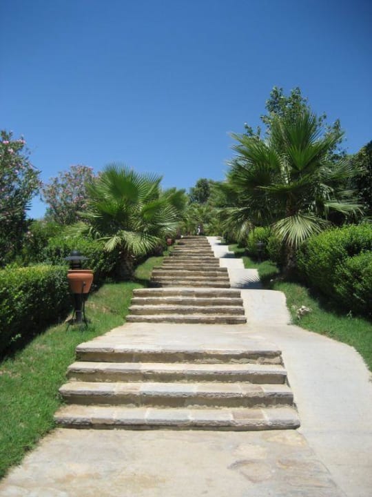 Der Weg zum Strand Alba Resort Hotel