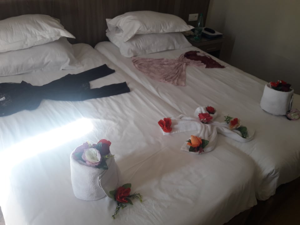 Zimmer Iberostar Waves Mehari Djerba