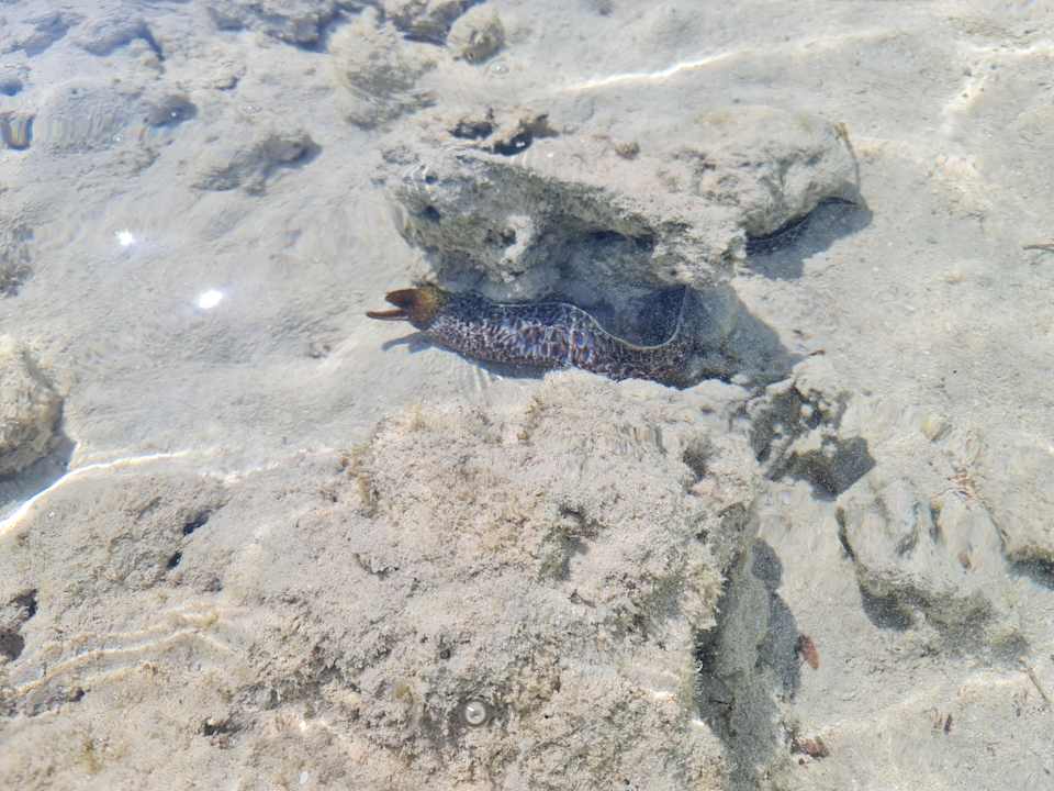Strand Pickalbatros Villaggio Resort - Portofino