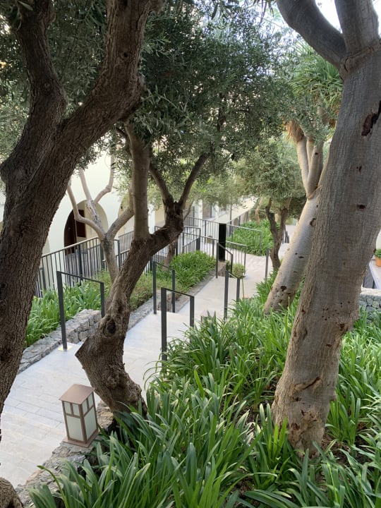 Gartenanlage Jumeirah Port Soller Hotel & Spa