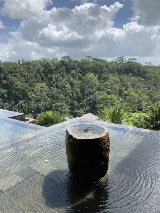 Ausblick Mandapa, a Ritz-Carlton Reserve