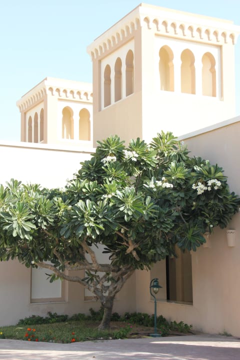 Hotel Iberotel Miramar Al Aqah Beach Resort Miramar Al Aqah Beach Resort