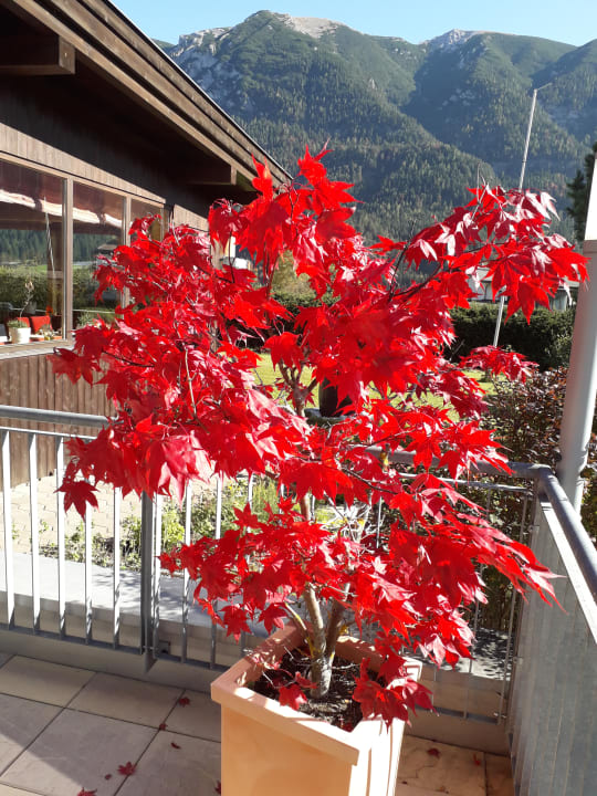 Sonstiges Hotel Achentalerhof