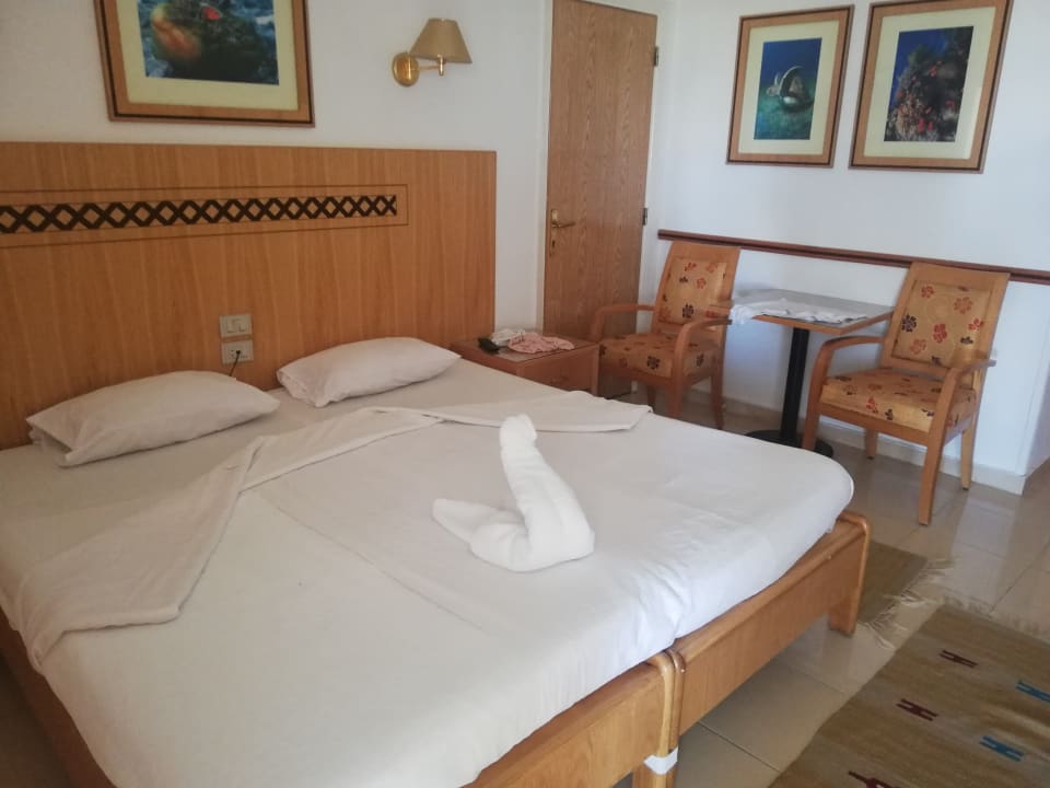 Zimmer Menaville Safaga