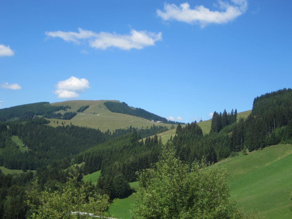 Ausblick auf die Sommeralm Landhotel Schwaiger