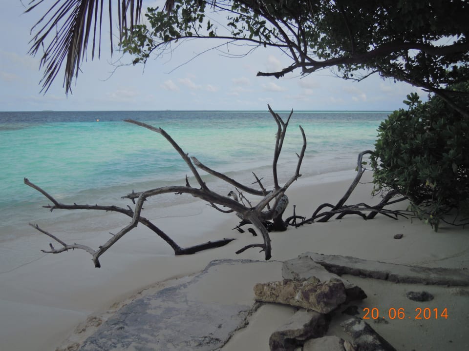 Biyadhoo Island Resort Biyadhoo Island Resort