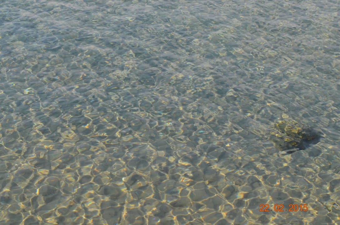 Кристальная вода Menaville Safaga