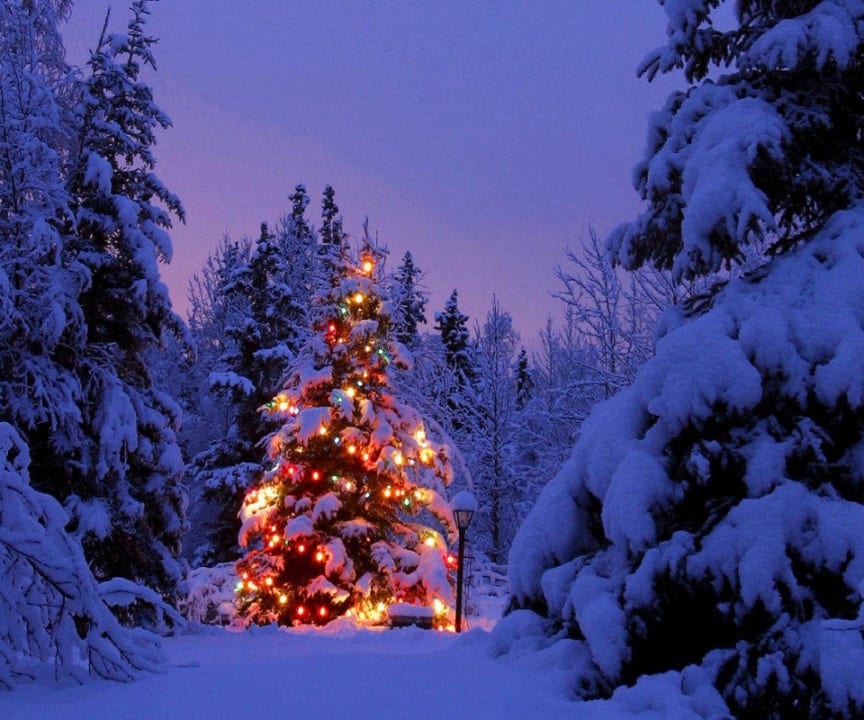 Hotel Gunsetal Hotel Gunsetal