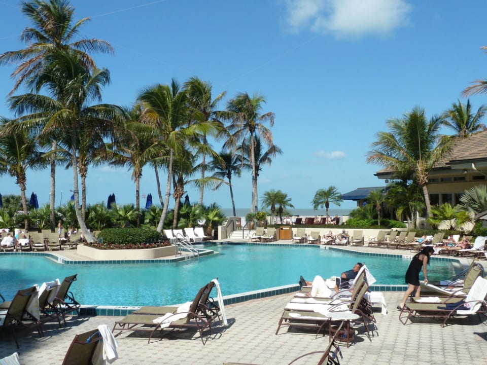 Pool Hotel Hilton Marco Island