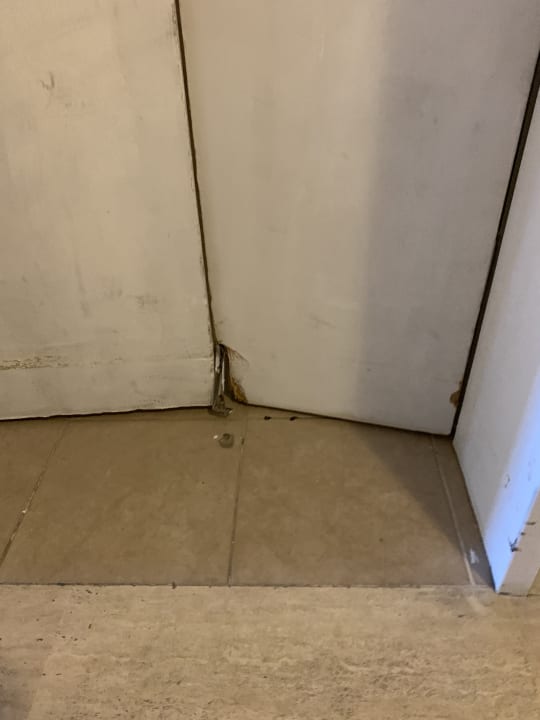 Sonstiges PALOMA Perissia