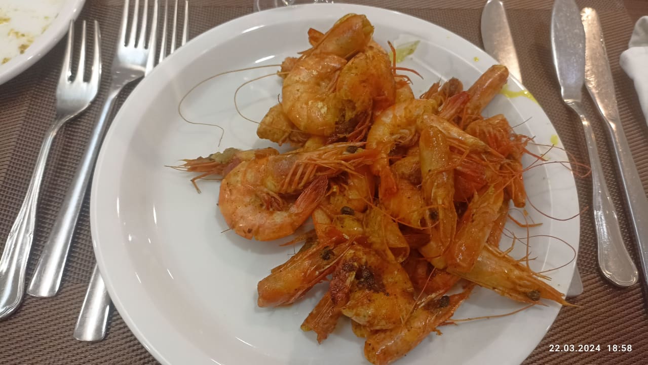 Gastro Marhaba Royal Salem