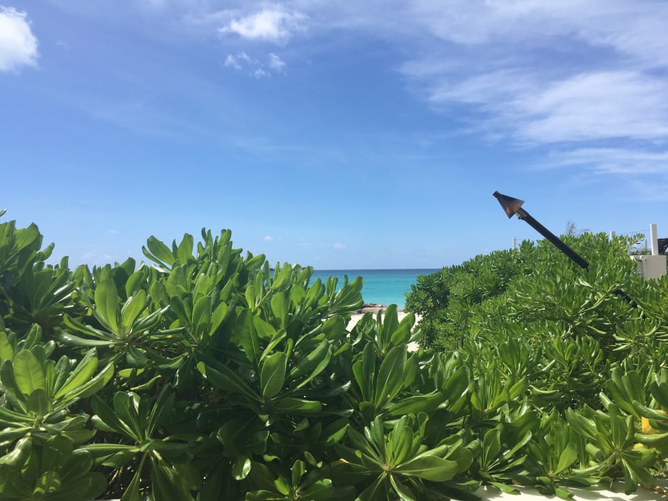 Außenansicht Sea Breeze Beach House - All Inclusive