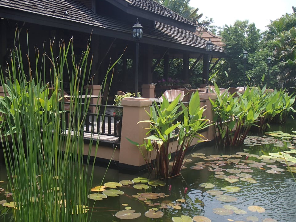 Teich am Restaurant Bo Phut Resort & Spa