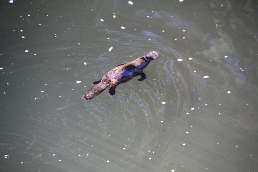 Sonstiges Broken River Mountain Resort