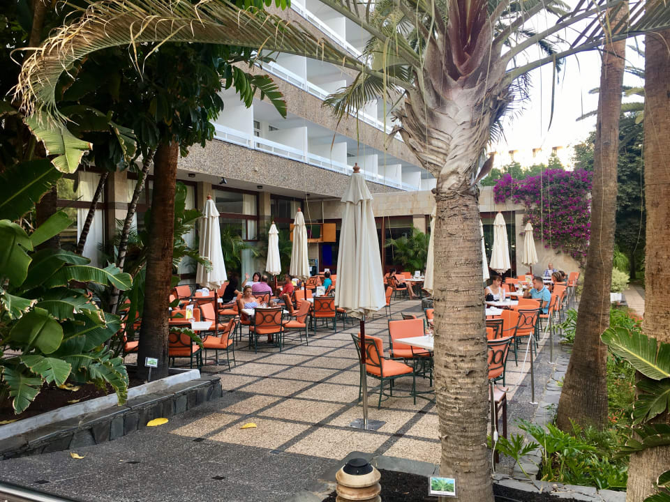 Gartenanlage Bull Costa Canaria & Spa - Adults only