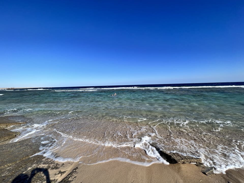 Strand Steigenberger Resort Alaya Marsa Alam - Red Sea - Adults only