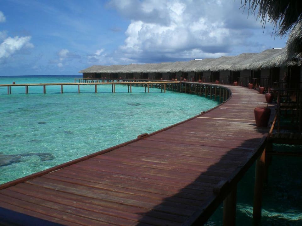 Exklusive Waterbungis Filitheyo Island Resort