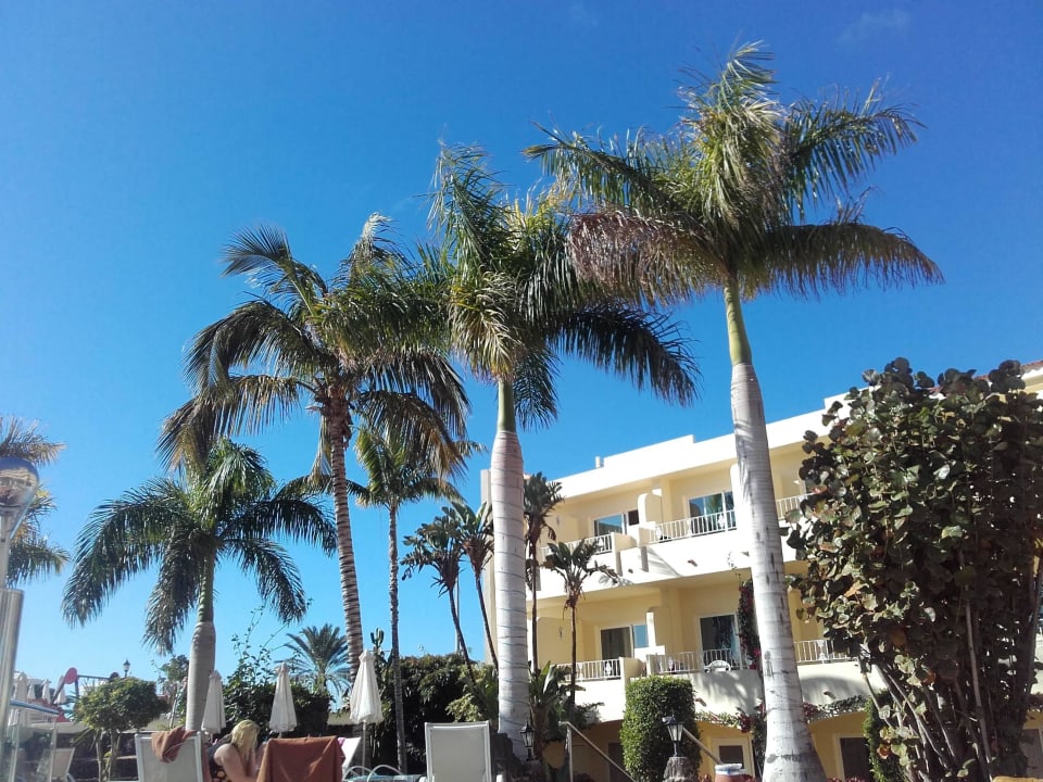 Blauer Himmel, wie fast immer R2 BUGANVILLA Hotel & Spa