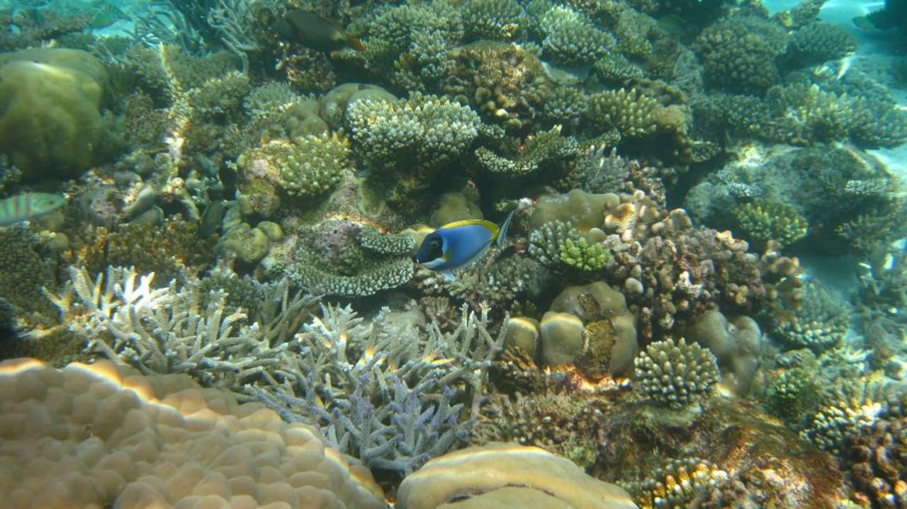 Riff Thulhagiri Island Resort Thulhagiri Island Resort