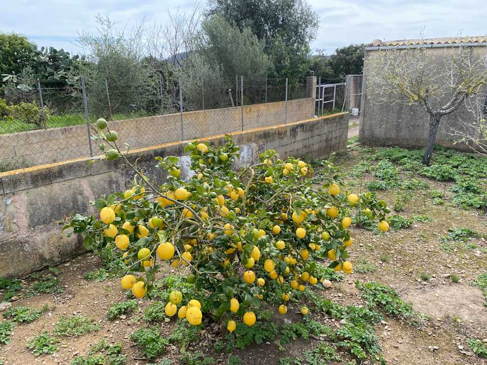 Sonstiges CM Playa del Moro