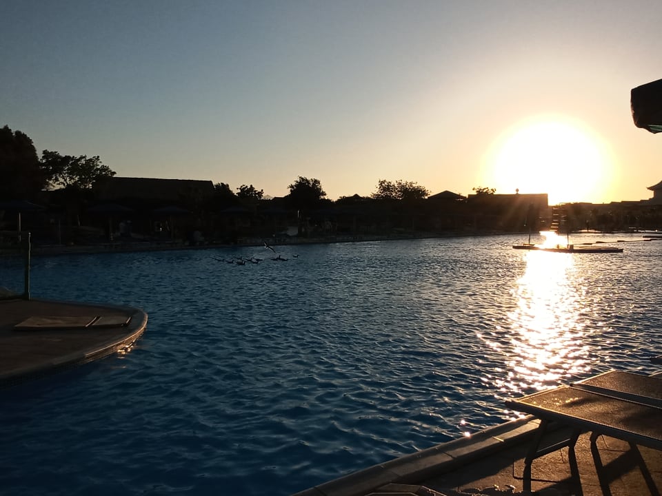 Pool Pickalbatros Jungle Aqua Park Resort - Neverland Hurghada