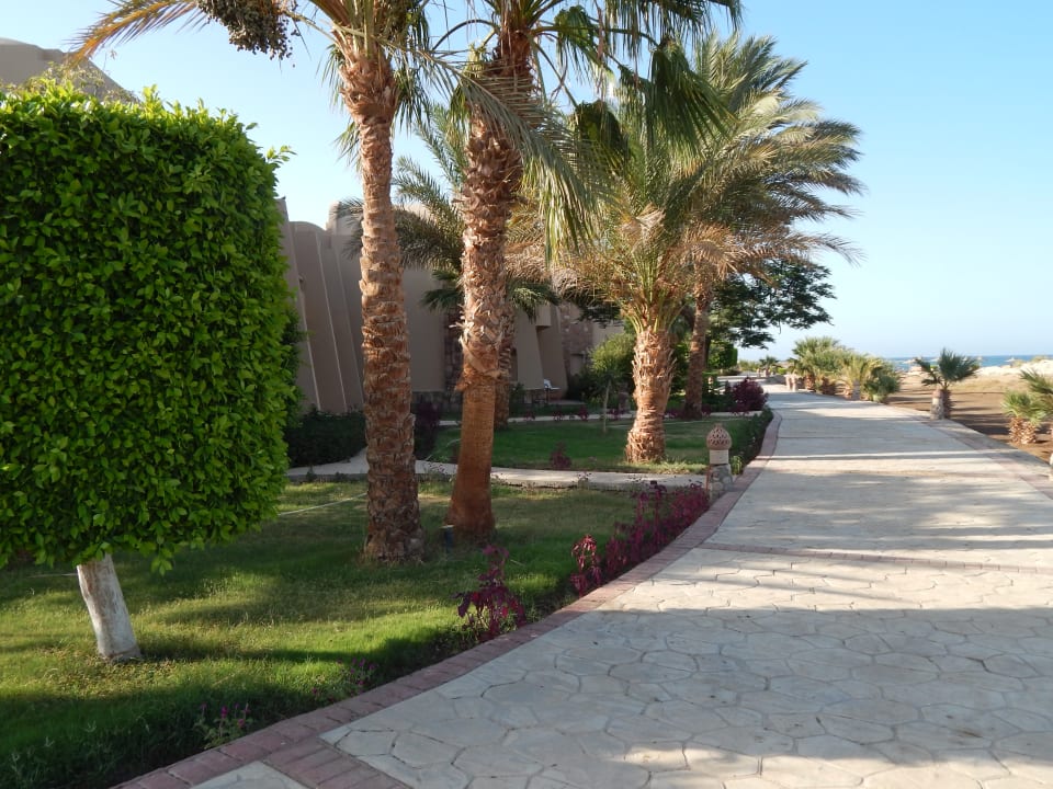 Außenansicht Shams Alam Beach Resort