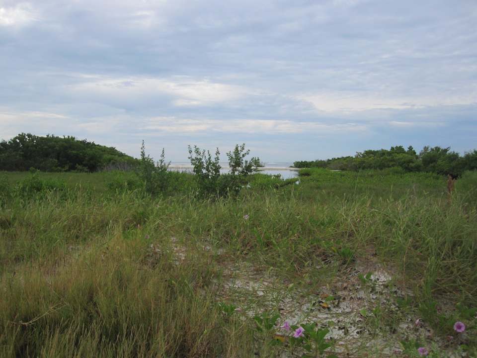 Am Strand Wyndham Garden Hotel Fort Myers Beach