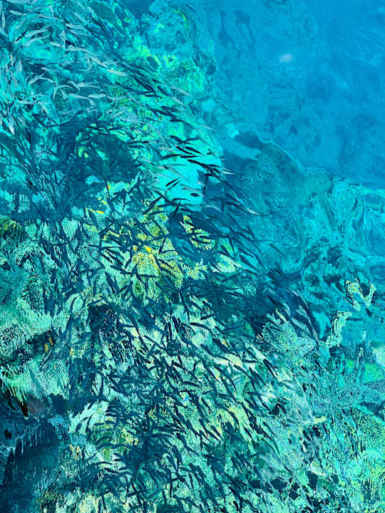 Strand Akassia Swiss Resort