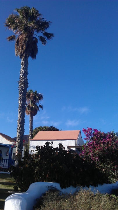Blick auf unser Bungalow Aldiana Club Fuerteventura
