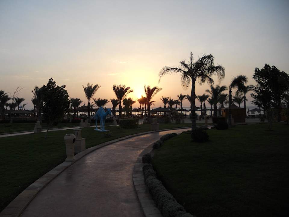 Sonnenaufgang Pickalbatros Palace Resort