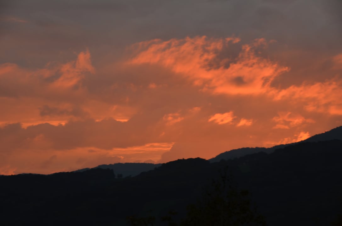 Ausblick Thula Wellnesshotel Bayerischer Wald