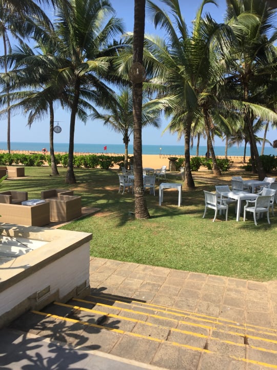 Gartenanlage Club Hotel Dolphin
