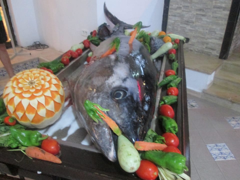 200kg Thunfisch Calimera One Resort Jockey