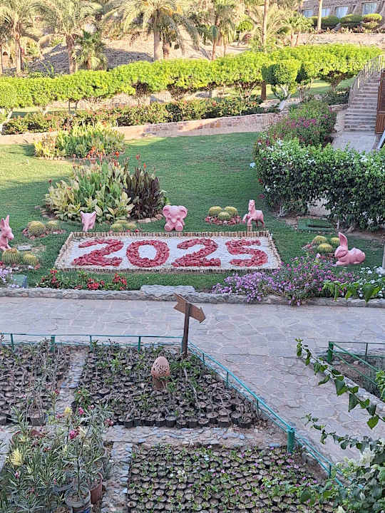 Gartenanlage Utopia Beach Club