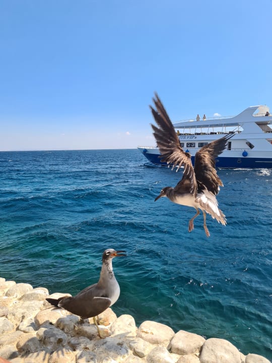 Sonstiges Arabella Azur Resort