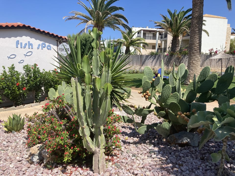 Gartenanlage Anissa Beach & Village