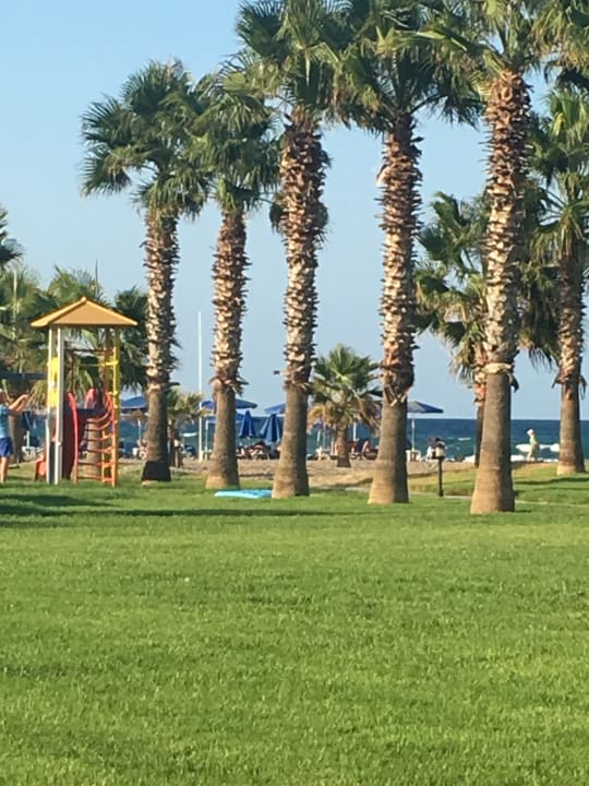 Ausblick Delfina Tropic Beach