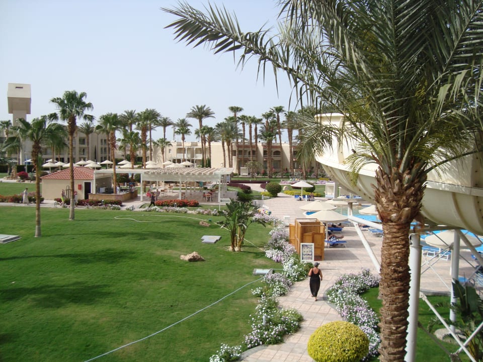 Gartenanlage Beach Albatros Resort