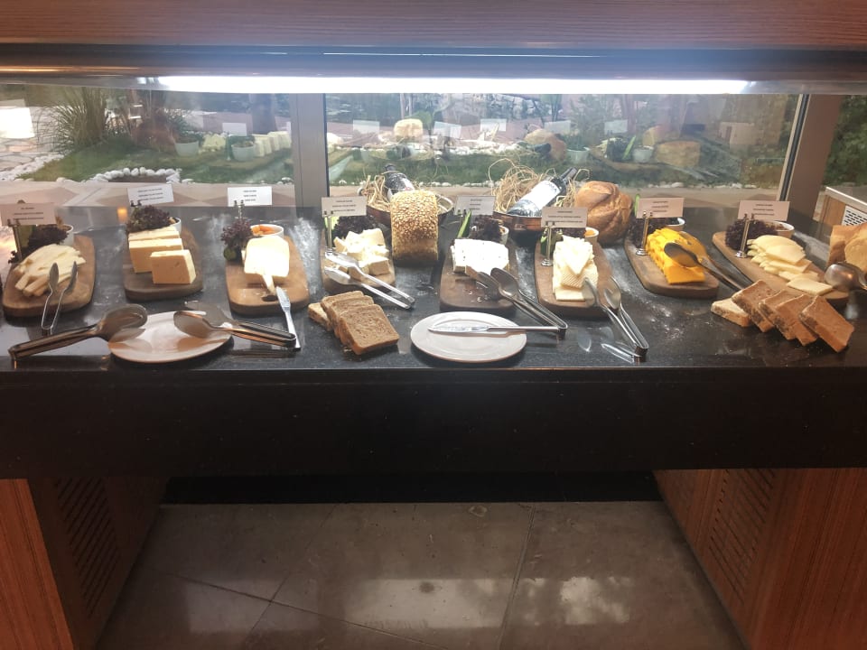 Gastro Paloma Pasha