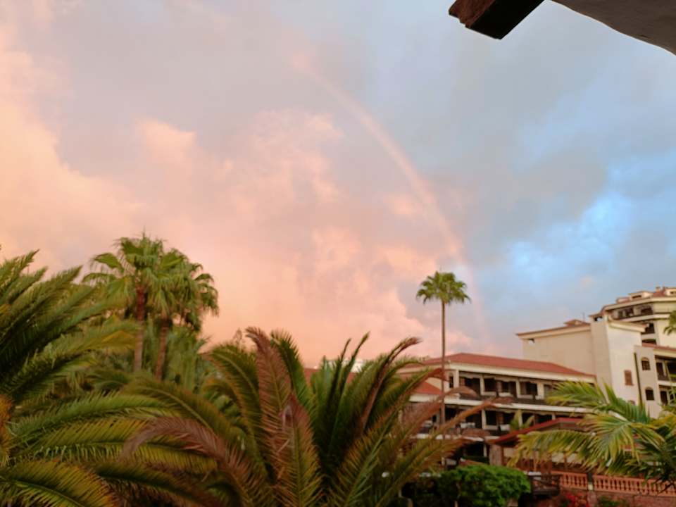 Ausblick Hotel Parque Tropical